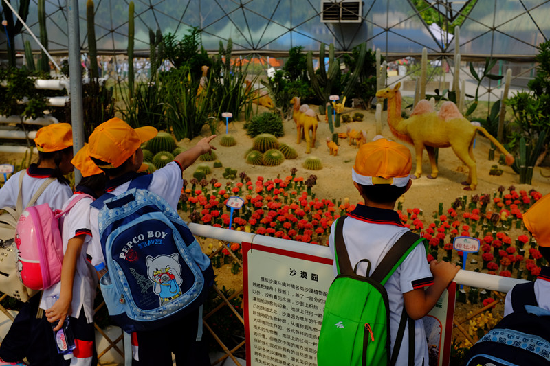 DSCF4535_副本.jpg