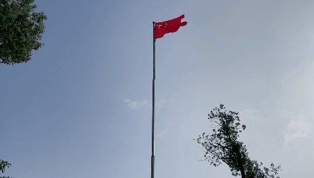 1439.JPG